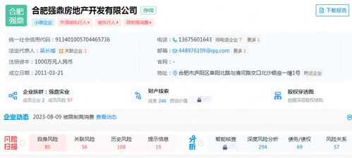 安徽兩家房企 爆雷